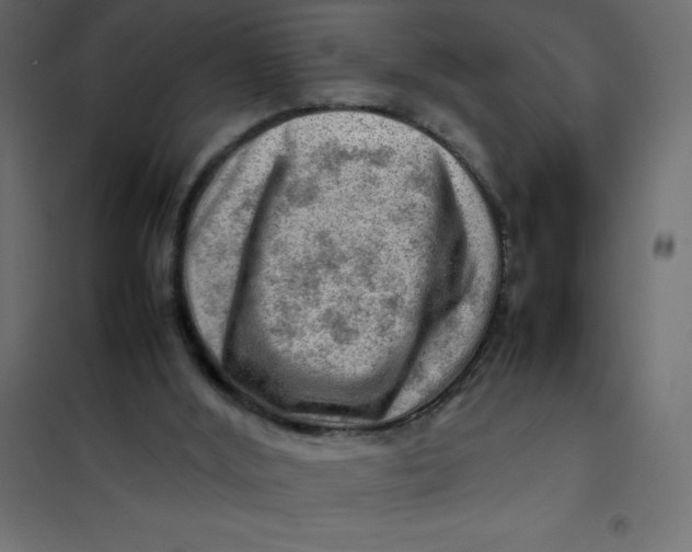 X0000102010012200808081735