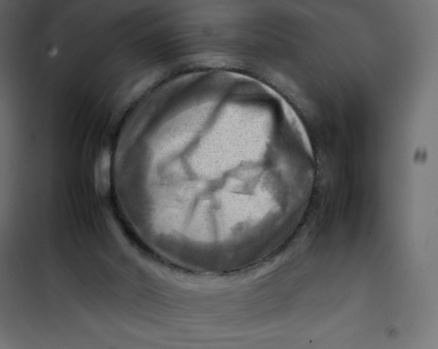 X0000102010014200808081735