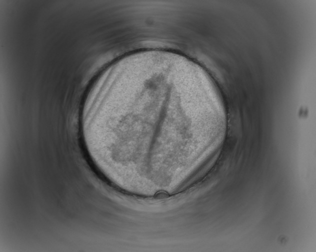 X0000102010015200808081735