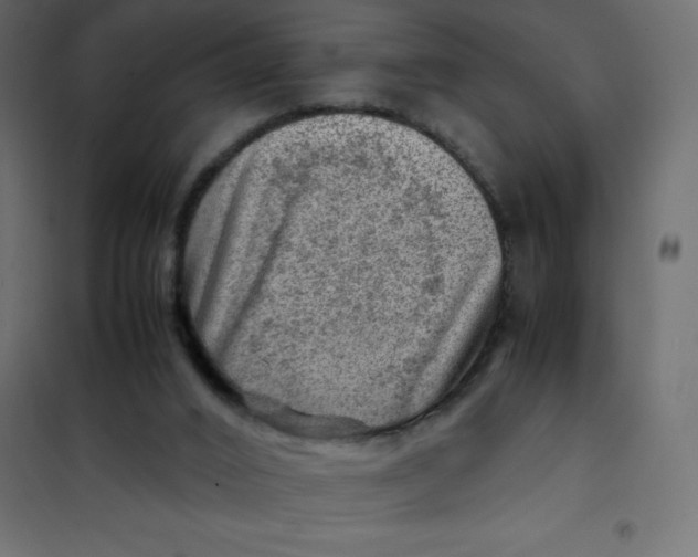 X0000102010016200808081735