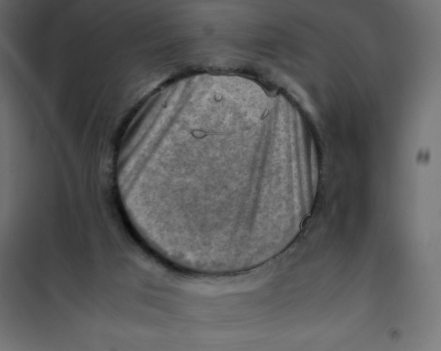 X0000102010017200808081735