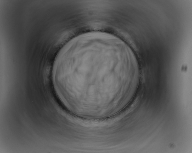 X0000102010018200808081735