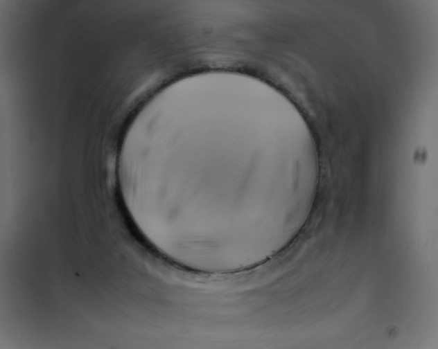 X0000102010019200808081735