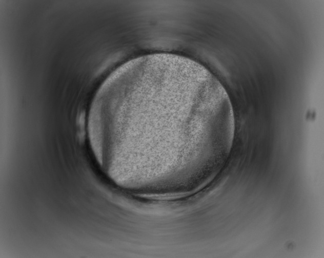 X0000102010020200808081735