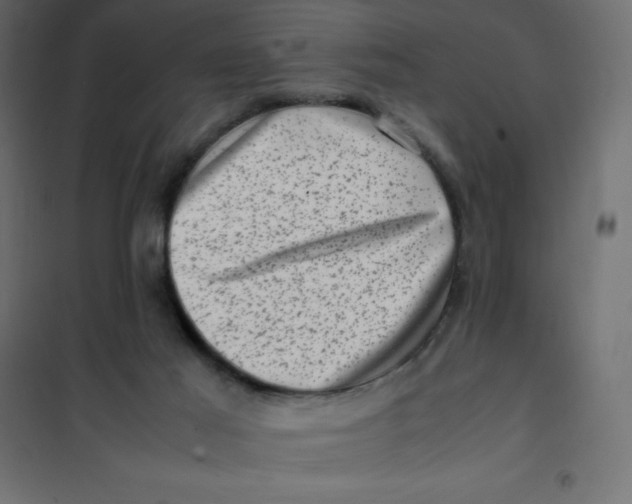 X0000102010021200808081735