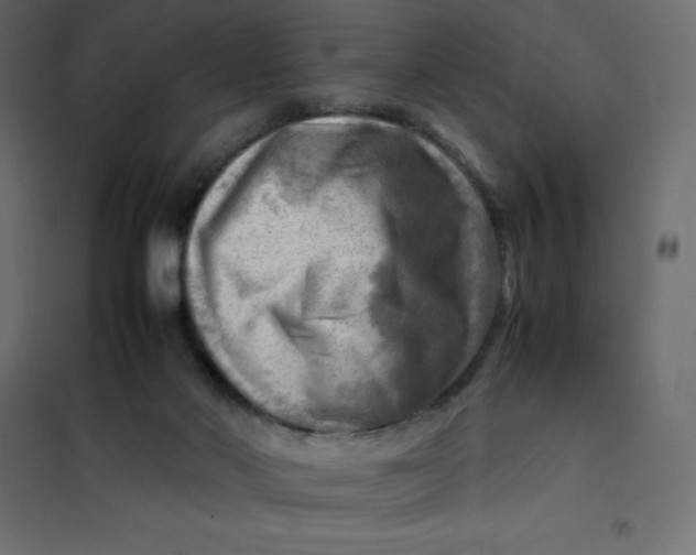 X0000102010022200808081735