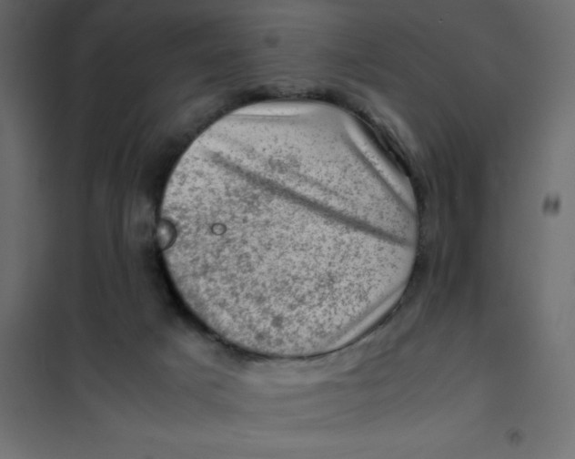 X0000102010025200808081735