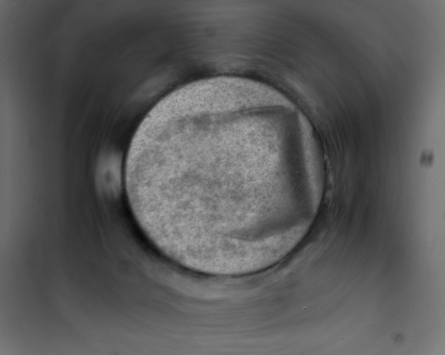 X0000102010028200808081735