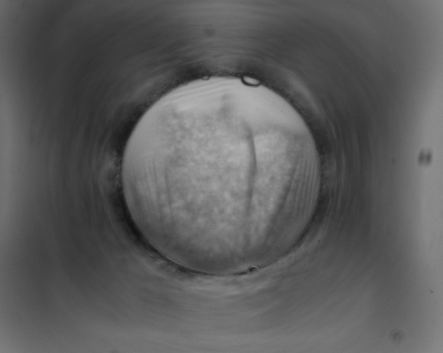 X0000102010029200808081735