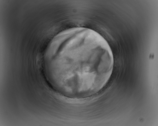 X0000102010030200808081735