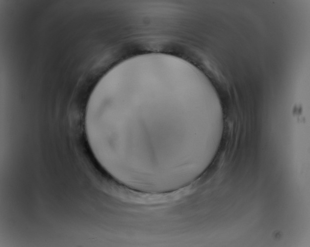 X0000102010031200808081735