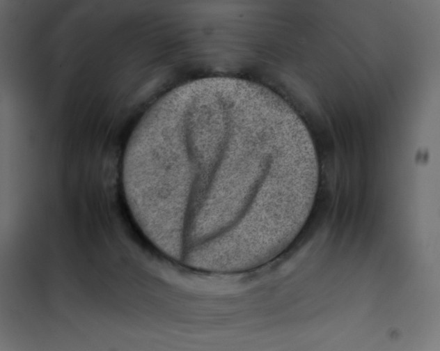 X0000102010032200808081735