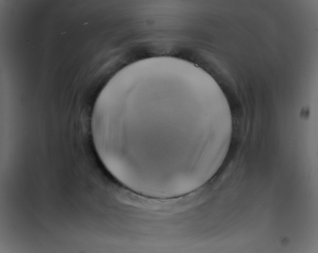 X0000102010035200808081735