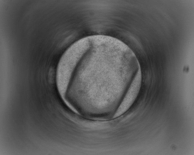 X0000102010036200808081735