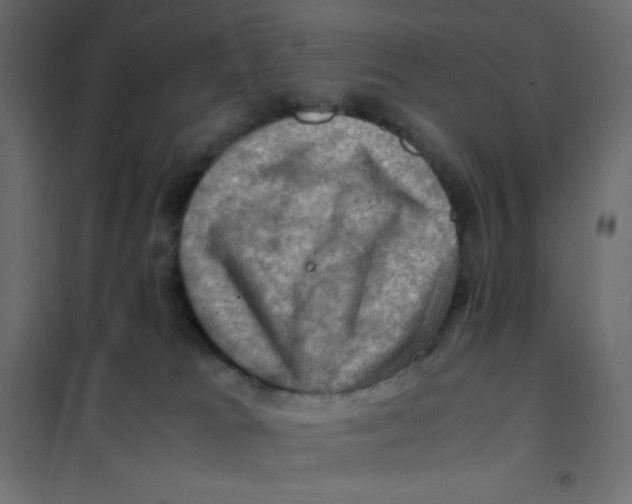 X0000102010037200808081735