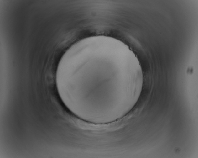 X0000102010039200808081735