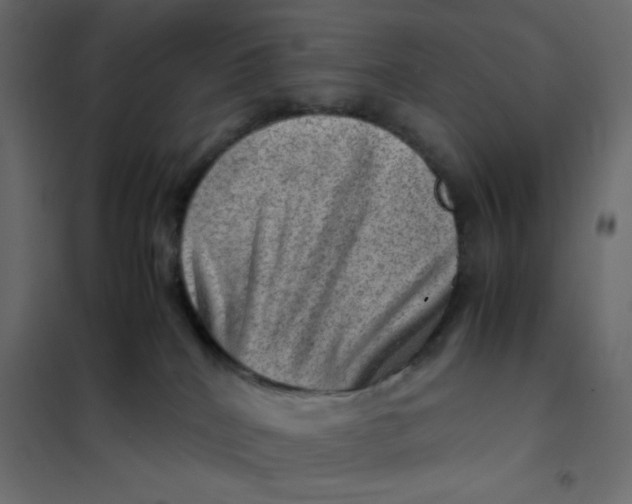 X0000102010040200808081735