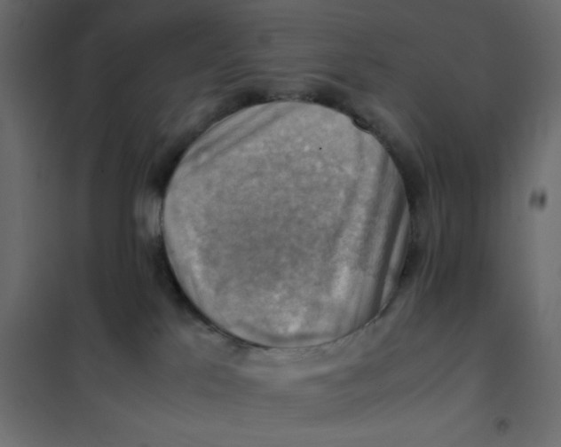 X0000102010041200808081735