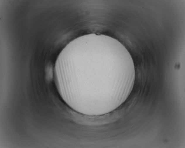 X0000102010042200808081735