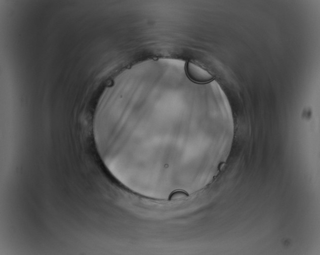 X0000102010043200808081735