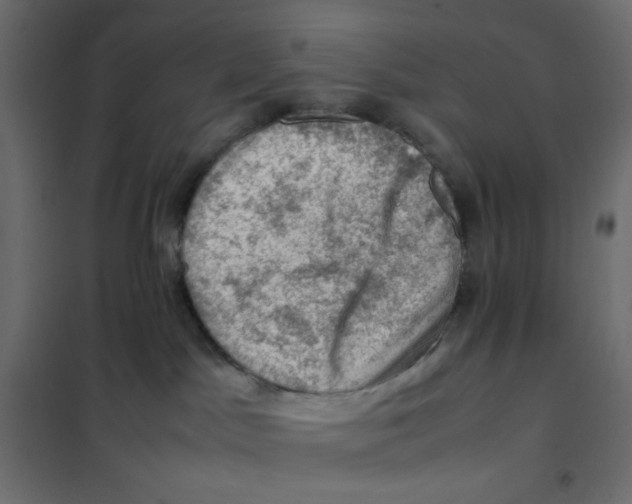 X0000102010045200808081735