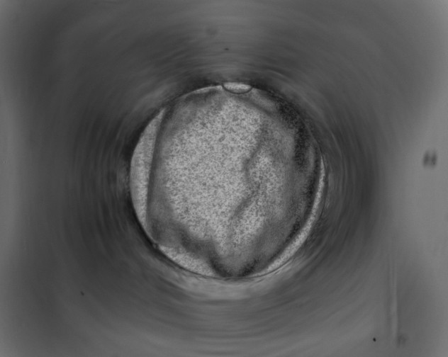 X0000102010048200808081735