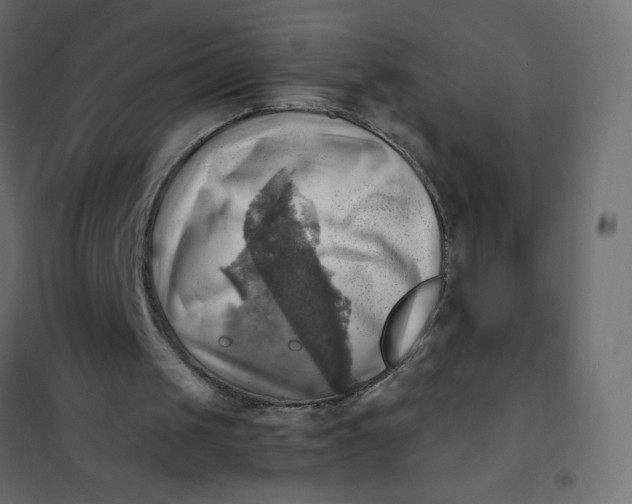 X0000102010049200808081734