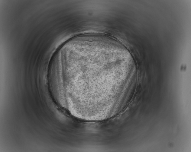 X0000102010050200808081734