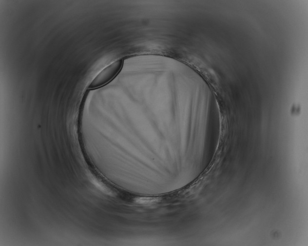 X0000102010051200808081734