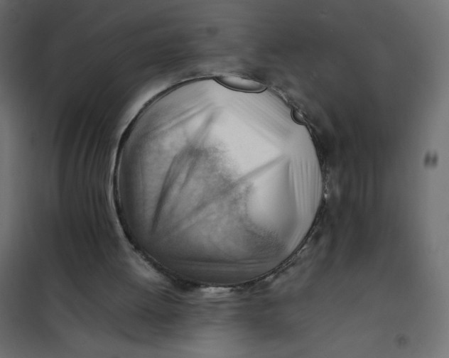 X0000102010052200808081734