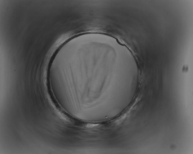 X0000102010055200808081734