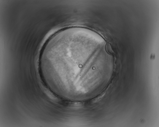 X0000102010056200808081734