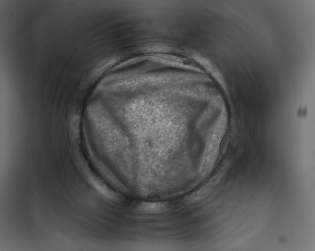 X0000102010057200808081734