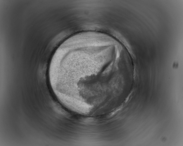 X0000102010058200808081734