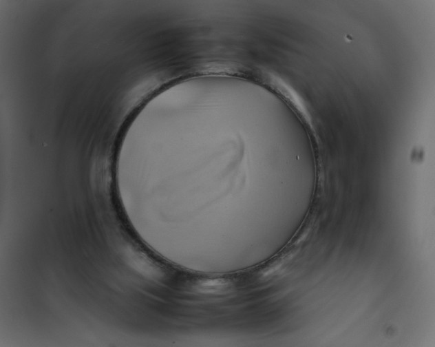 X0000102010059200808081734