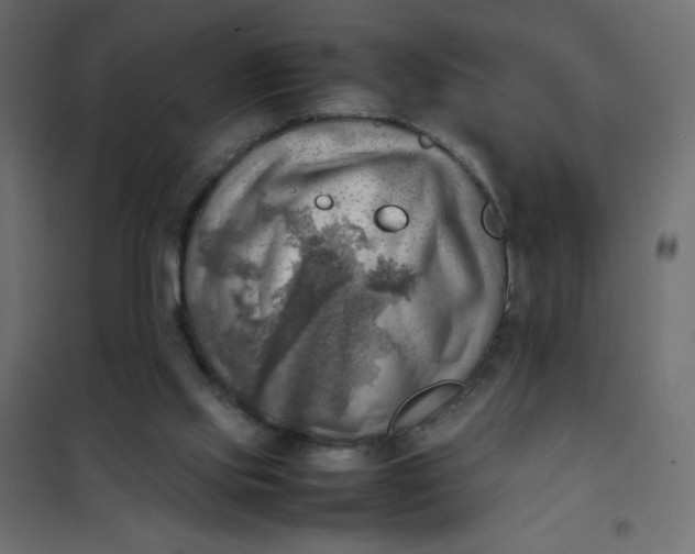 X0000102010061200808081734