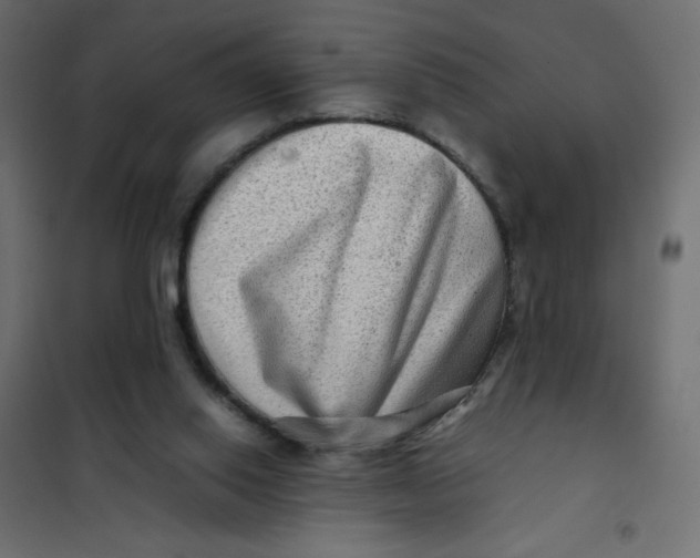 X0000102010062200808081734