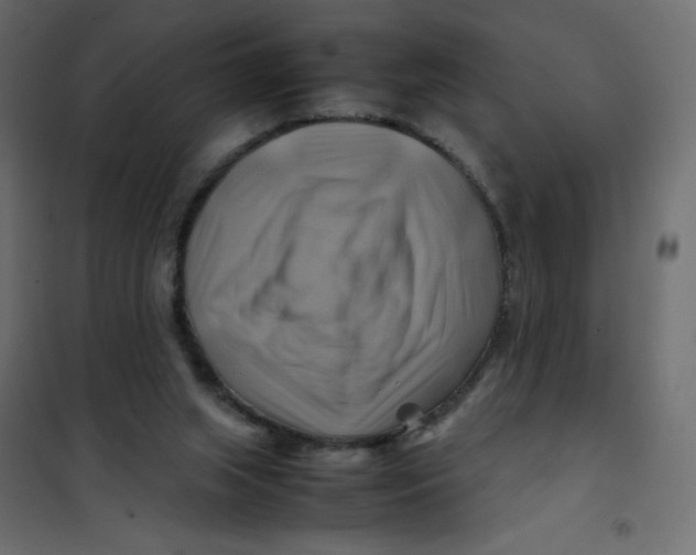 X0000102010063200808081734