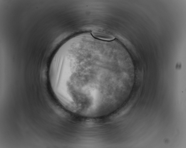 X0000102010064200808081734