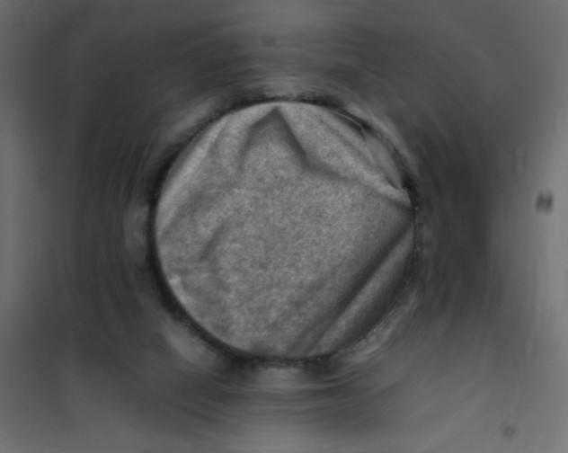 X0000102010066200808081734