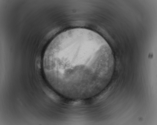 X0000102010068200808081734