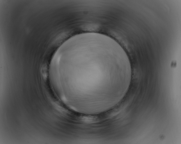 X0000102010069200808081734