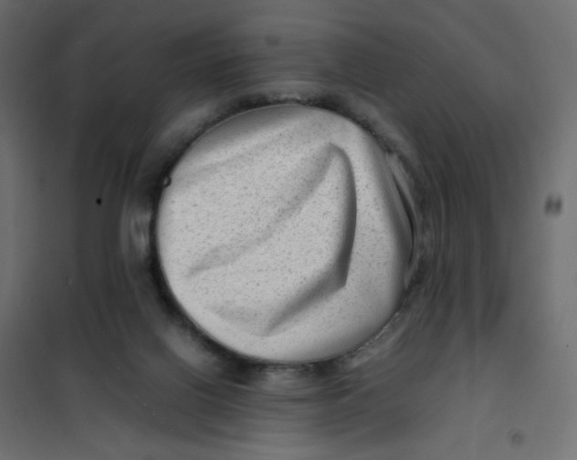 X0000102010070200808081734