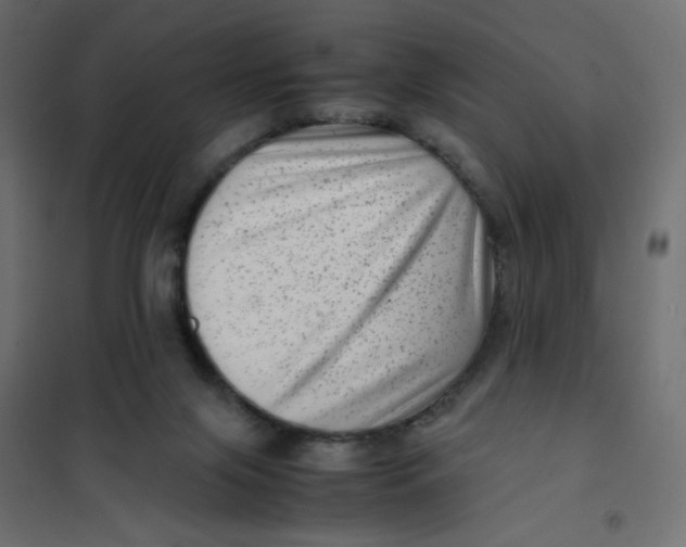 X0000102010071200808081734