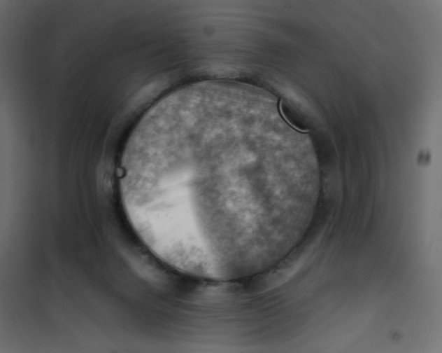 X0000102010072200808081734