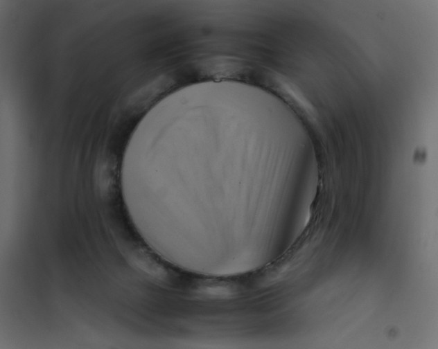 X0000102010073200808081734