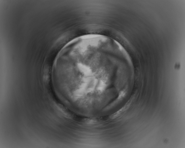 X0000102010074200808081734