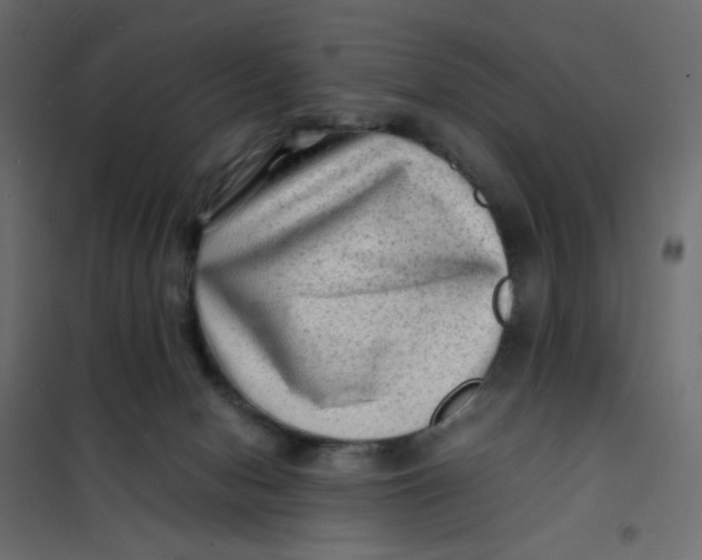 X0000102010078200808081734