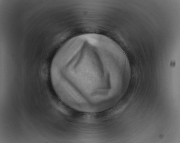 X0000102010080200808081734