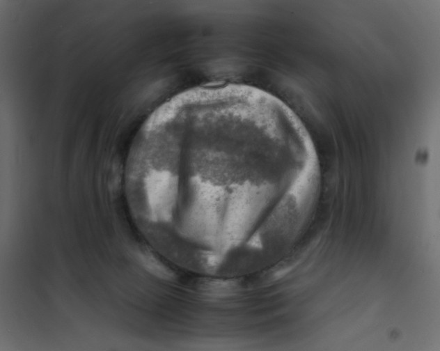 X0000102010081200808081734